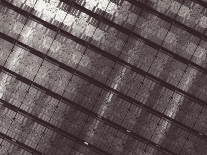 Macro view of a semiconductor wafer: rows of identical dies separated by scribe lines